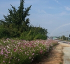 ��ǰ�̹���